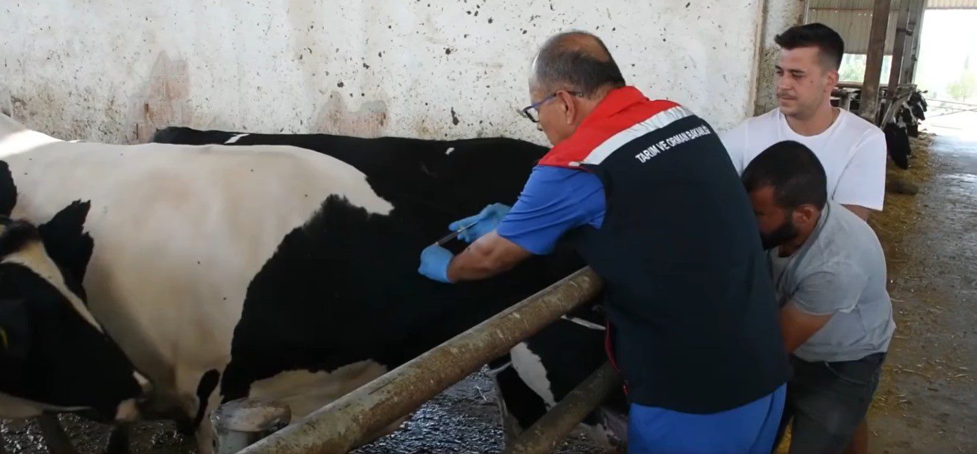 aydinda 47 bin doz ucretsiz asi yapilacak 1 AfwulwIA