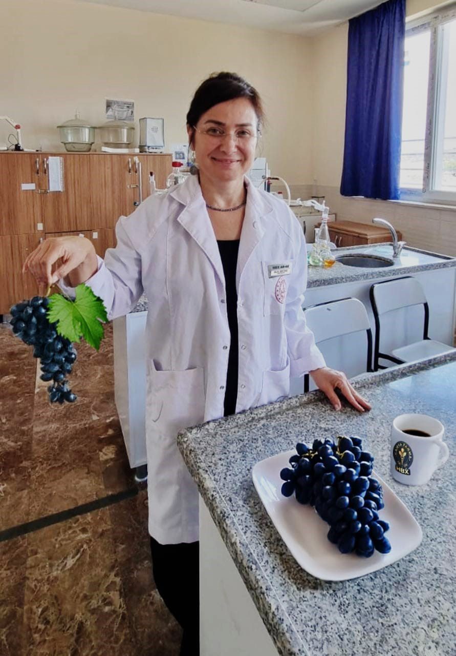 uzmanlardan uyari uzumu cekirdegi ile yiyin 0 BN8MEsyE